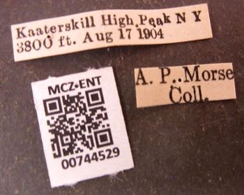 Media type: image;   Entomology 744529 Aspect: labels